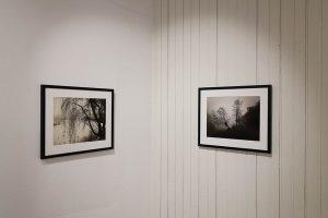 Drei - die neuen Mitglieder in der KVD – Kiki Stickl, Lothar Reichel, Lena Weisbek