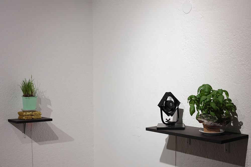 Oliver Hein | Solstice